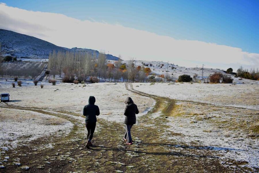 Granada: Small Group Tour to Sierra Nevada - Fauna, flora, and the sensory cues you’ll notice up high