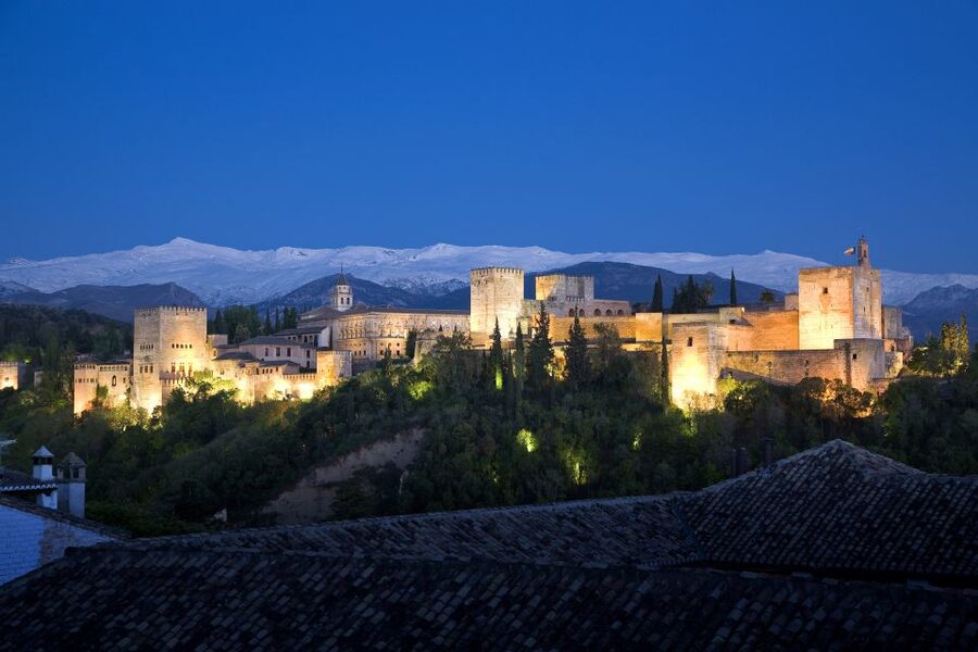 Granada: The Alhambra and Nasrid Palaces Guided Night Tour - The walk into the Nasrid Palaces: gardens, towers, and first impressions