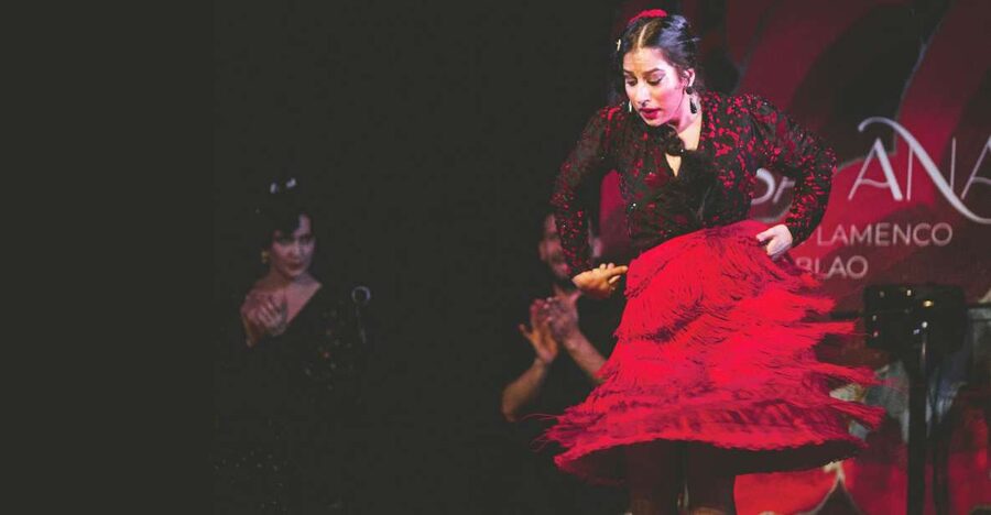 Granada: Traditional Flamenco Show at Tablao Casa Ana - Key Things That Make This Flamenco Night Work