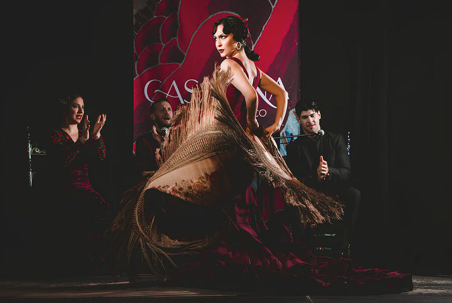 Granada: Traditional Flamenco Show at Tablao Casa Ana - What You’ll See in the One-Hour Show (And Why It Feels Different)
