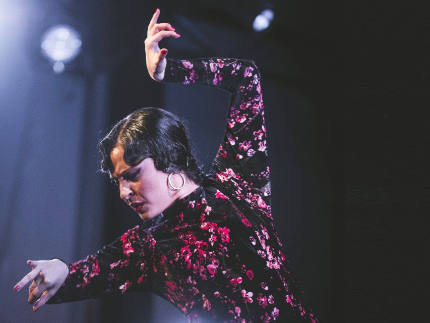 Granada: Traditional Flamenco Show at Tablao Casa Ana - Who Should Book Tablao Casa Ana (And Who Might Not)