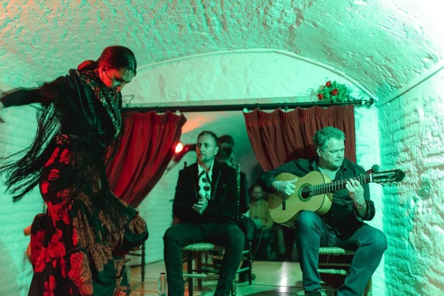 Granada: Traditional Flamenco Show in a Cave Entry Ticket - Key things that make this cave flamenco ticket worth it
