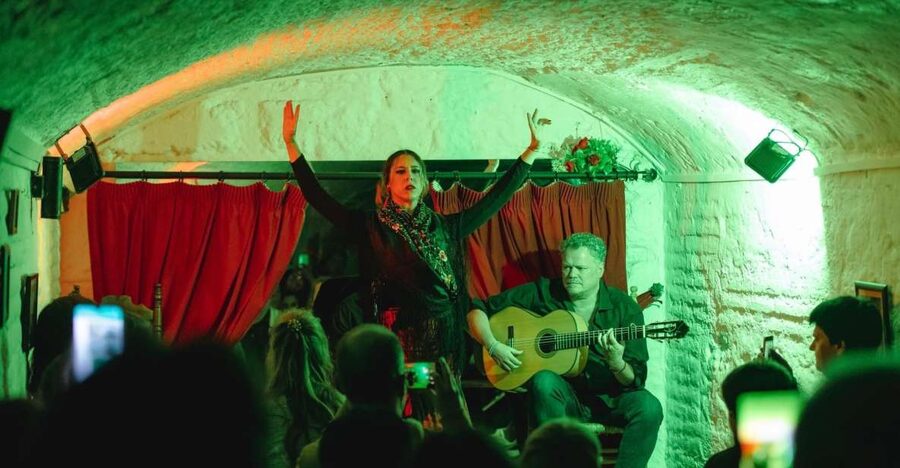 Granada: Traditional Flamenco Show in a Cave Entry Ticket - Why Granada’s cave flamenco feels different from a big venue