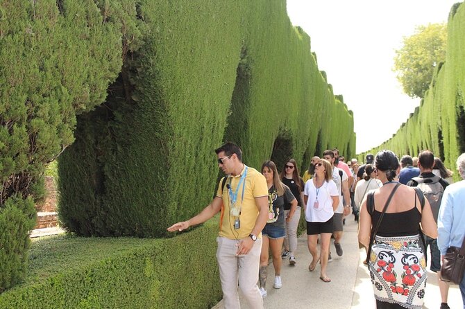 Guided visit to the Alhambra, Nasrid Palaces and Generalife - Nasrid Palaces: Comares, Mexuar, and the Lions Court that stole the show