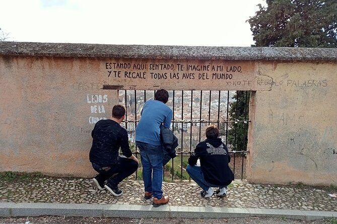 Guided Walking Tour with Panoramic Views and Terraces of Granada - Granada in 2 hours: what you really get