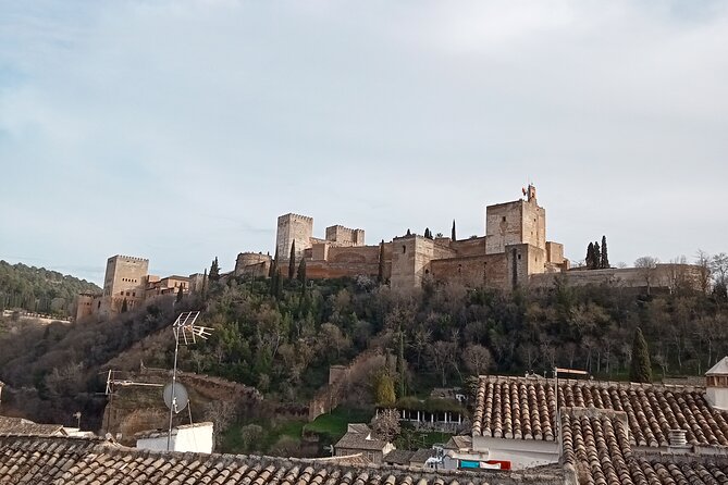 Guided Walking Tour with Panoramic Views and Terraces of Granada - Mirador de Los Carvajales: 15 minutes of panoramic calm