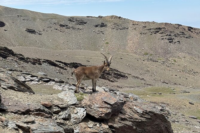 Hiking experience in the High Sierra Nevada National Park - From Granada to the Sierra Nevada Road, Then Into the Thin Air