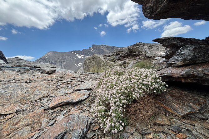 Hiking experience in the High Sierra Nevada National Park - Clothing and Gear: What’s Included, What You Must Bring