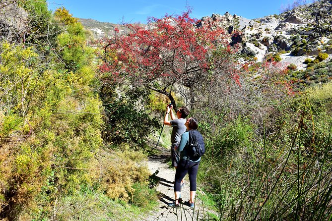 Hiking in the Canyon of the Monachil Cubs in Granada - What Makes It Family-Friendly, and Where It Gets Tricky