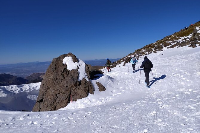 Hiking Snowshoeing in the Sierra Nevada Park, Granada - Key highlights you will feel right away