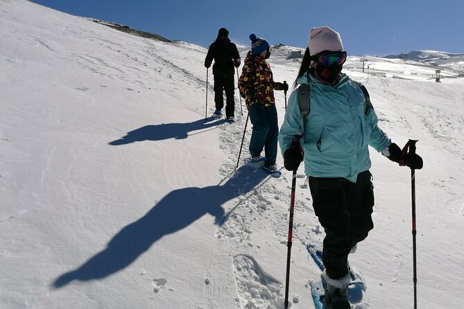 Hiking Snowshoeing in the Sierra Nevada Park, Granada - Granada to the Sierra Nevada on Snowshoes (Without the Fuss)