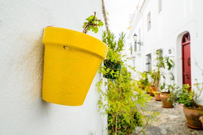 Nerja & Frigiliana Day Trip w/ Skip-Line from Granada (Max. 8) - How Nerja and Frigiliana fit together perfectly