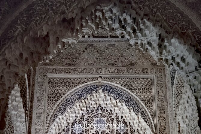 Night Tour of Alhambra and the Nasrid Palaces - The guide experience: professional, friendly, and tuned to visitors