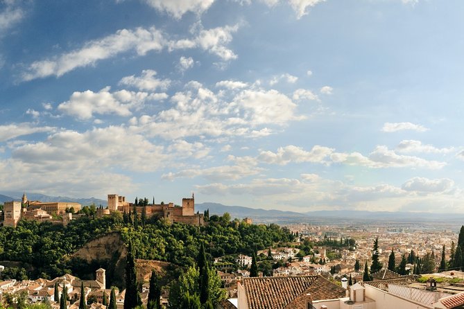 Old Granada Market & Food Tasting Tour - Beer or Wine Included, and How to Pace It