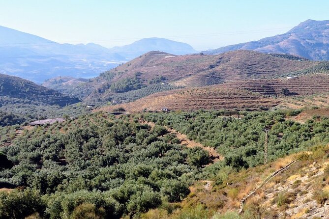 Premium Scenic Daytrip to Alpujarra Villages from Granada (Max 8) - Fuente Agria, Sparkling Iron Water, and a Small-Vehicle-Only Stop