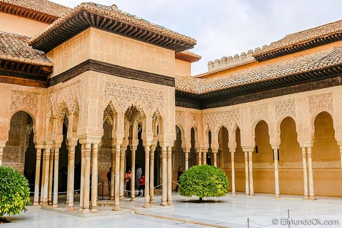 Private Alhambra palace tour and Granada from Motril cruise port - Who this Alhambra and Granada tour fits best