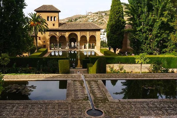 Private Alhambra palace tour and Granada from Motril cruise port - The Motril cruise port pickup and private transport factor