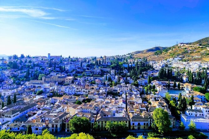 Private tour: 4 cultures, Granada in depth - Who Should Book This Private Granada Cultural Walk