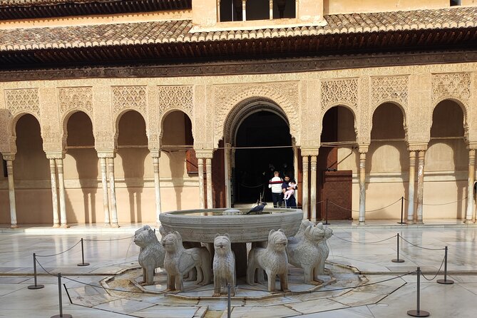 Private Tour of the Alhambra - Nasrid Palaces: Lions, Arrayans, and the heart of the complex