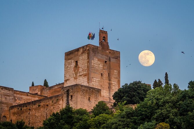 Private tour of the Alhambra entrances included - Key highlights to know before you go