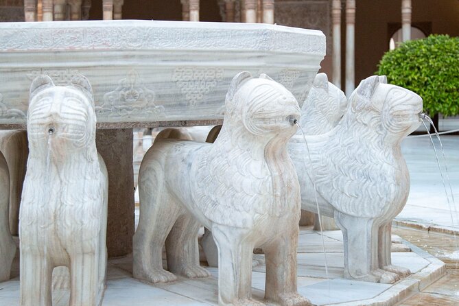 Private Tour of the Alhambra of Granada - Meet at P.º del Generalife, Then Start with Orientation Fast