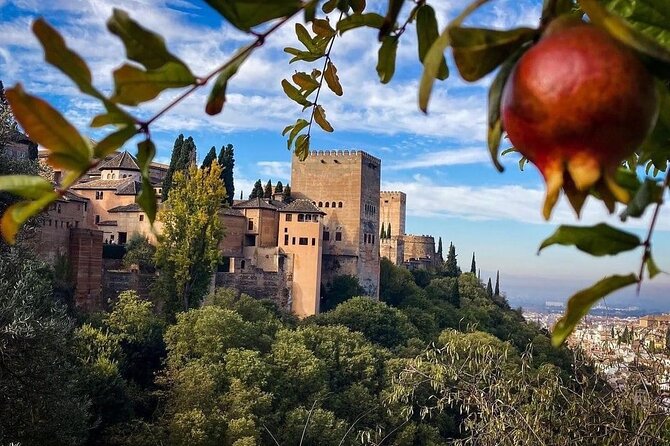 Private Tour to The Alhambra and Generalife from Motril port - Nasrid Palaces and the Power of Translating the Inscriptions