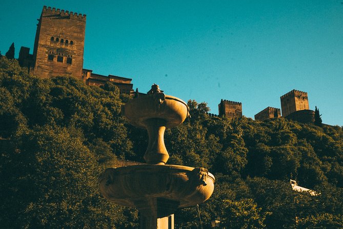 Private Tour to The Alhambra with Nasrid Palaces in Granada - Who should book this Alhambra private tour