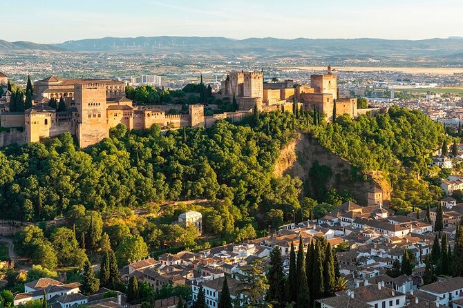 Private Tours Alhambra : Tickets & Tour Guide & Skip-the-Line - Stop 2: Nasrid Palaces (1 hour, and the access reality check)