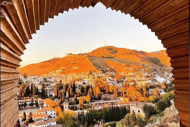 Private Tours Alhambra : Tickets & Tour Guide & Skip-the-Line - Entering the Alhambra: timed entry plus skip-the-line