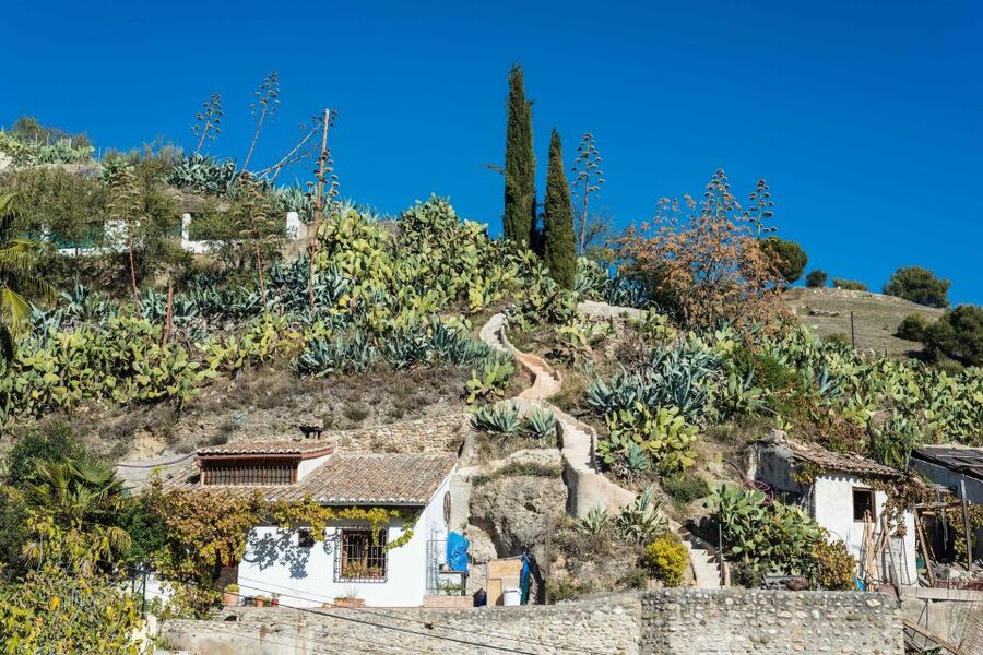 Sacromonte Caves Museum Admission Ticket - Key things that make this visit work