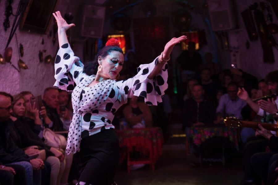 Sacromonte: Flamenco Show at Cuevas Los Tarantos Tickets - Who should book Cuevas Los Tarantos flamenco, and who might skip