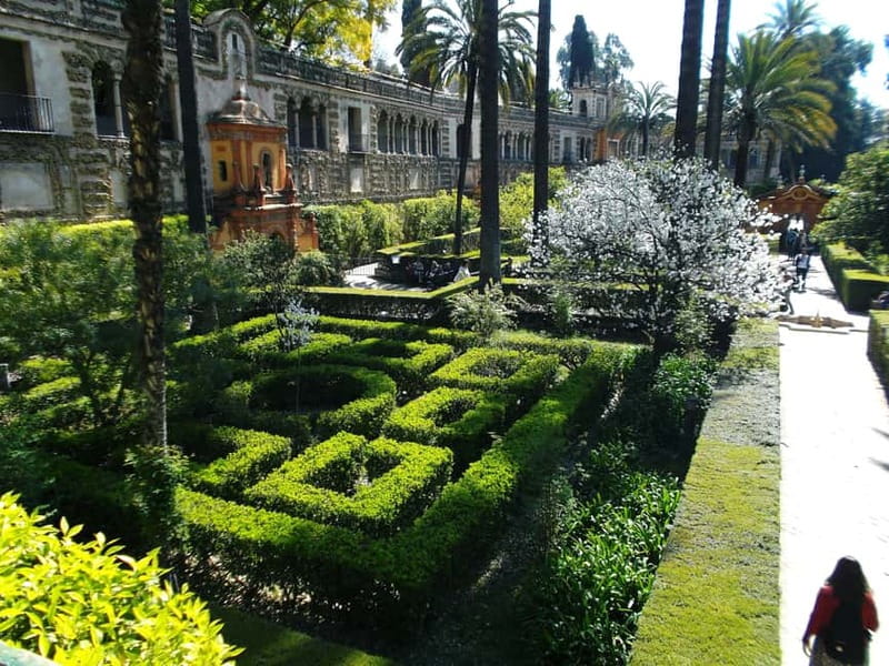 Sevilla Full-Day trip from Granada - Meeting at Discovering Spain and getting oriented fast