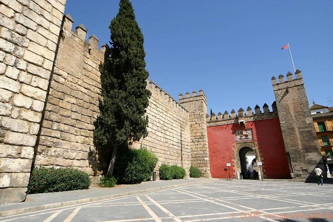 Seville Tour with Alcazar, Cathedral and Giralda from Granada - Price and value: what you get for $252.33