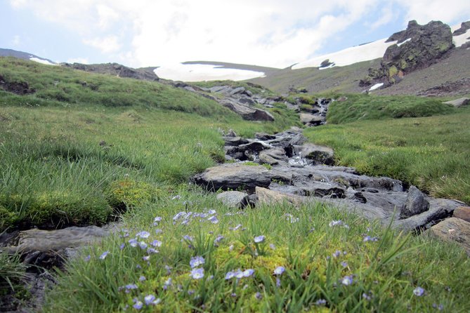 Sierra Nevada Day Trip from Granada. Small group up to 8 pax - Start in Granada, Return to Granada: How the Timing Works