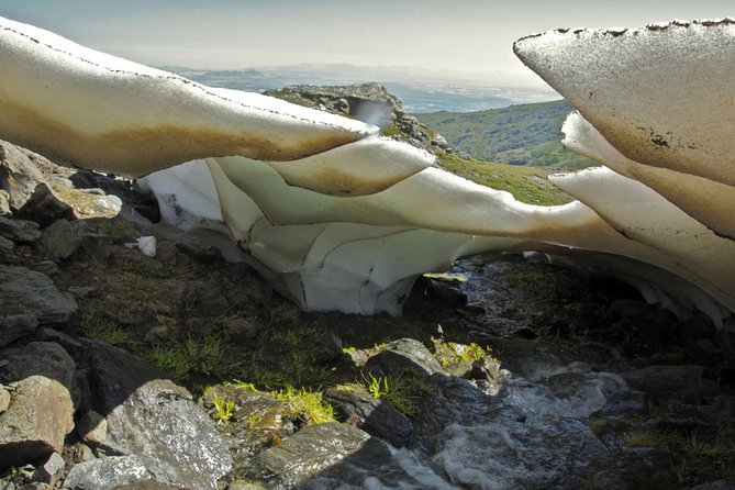 Sierra Nevada Day Trip from Granada. Small group up to 8 pax - The Park Day: From Sierra Nevada Entry to Your Main Hike
