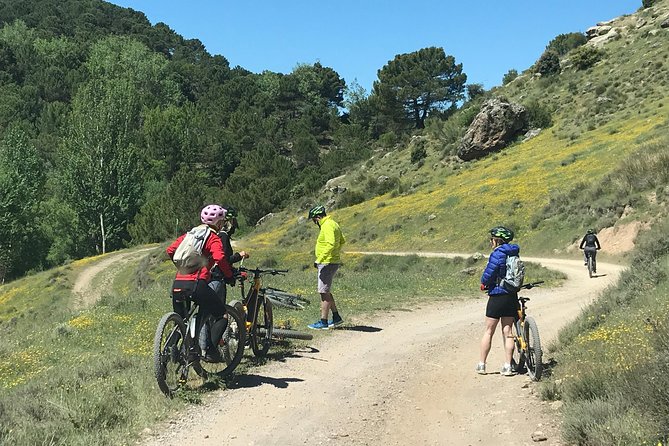 Sierra Nevada Ebike Tour Small Group - Who should book this e-bike tour near Granada