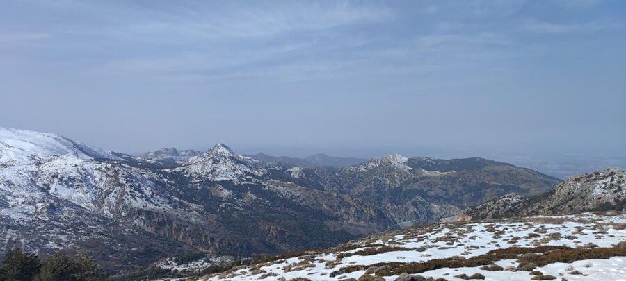 Sierra Nevada Small Group BIKE Tour - Sierra Nevada by Bike: a half-day that rewards stronger legs