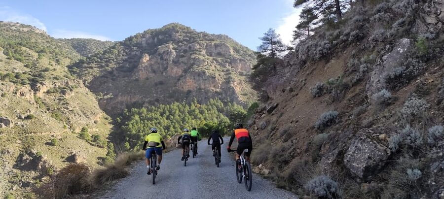 Sierra Nevada Small Group BIKE Tour - Stop moments that make the ride feel like a day in the mountains