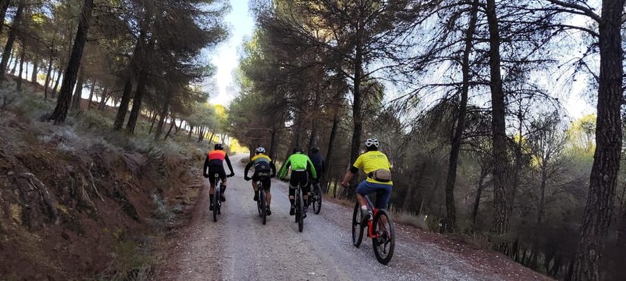 Sierra Nevada Small Group BIKE Tour - Transfers and the practical timing of your day