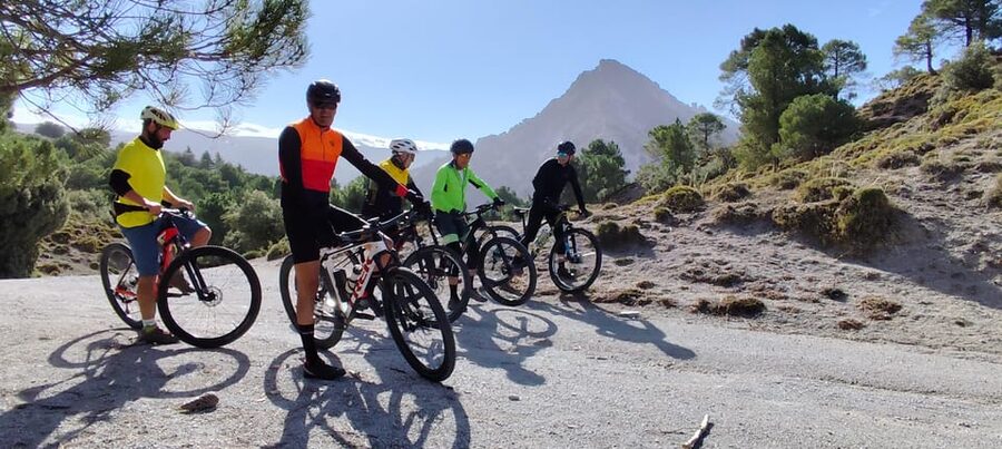 Sierra Nevada Small Group BIKE Tour - Where you meet and how the tour starts smoothly