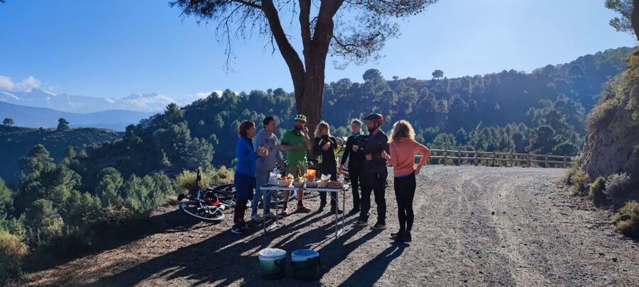 Sierra Nevada Small Group E-Bike Tour - Mountain goats and wildlife: spotting without rushing