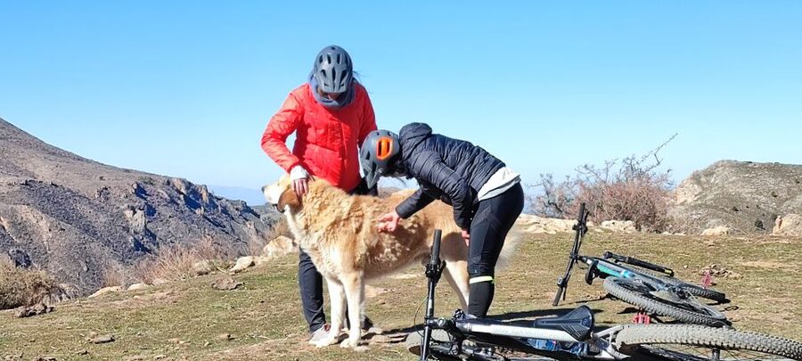 Sierra Nevada Small Group E-Bike Tour - The mid-ride coffee break and snack stop