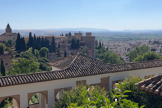 Small group visit to the Alhambra with tickets included - Guides make the difference: Arabic inscriptions and architectural meaning
