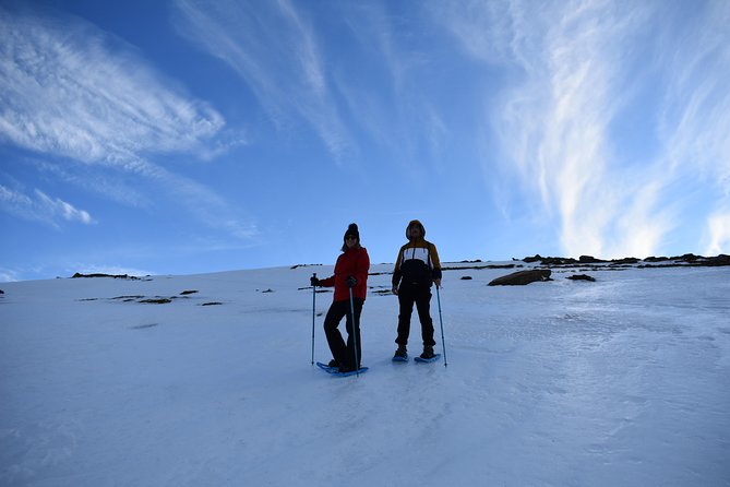 Snowshoe hiking in Sierra Nevada (Granada) - Key highlights worth knowing
