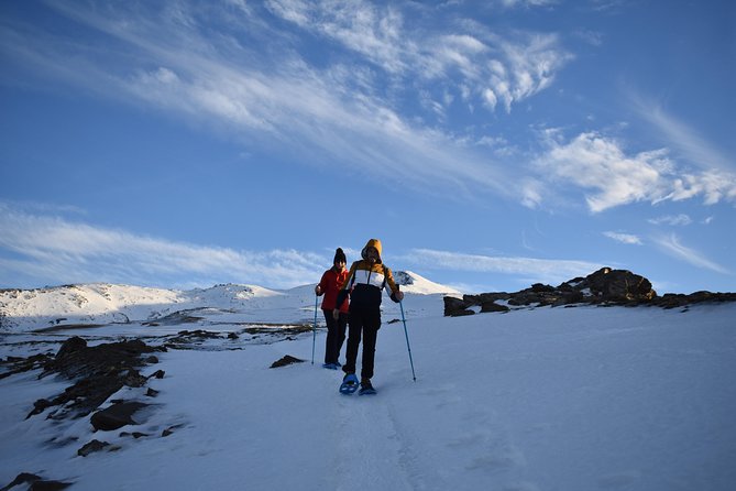 Snowshoe hiking in Sierra Nevada (Granada) - Gear and pacing: how this stays beginner-friendly