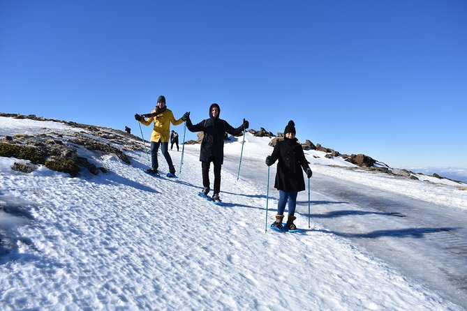 Snowshoe hiking in Sierra Nevada (Granada) - Weather, snow levels, and what happens when conditions shift