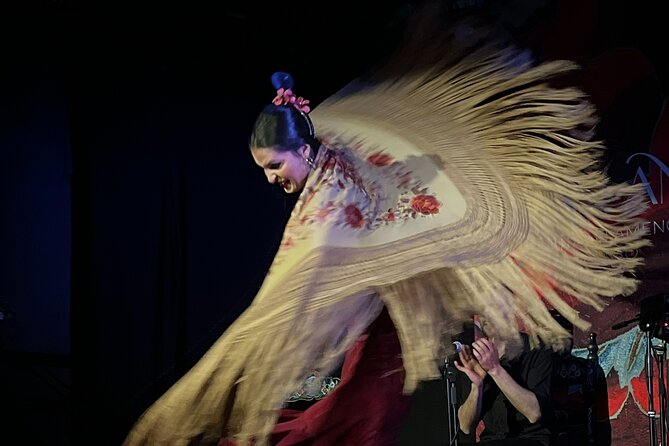 Traditional Flamenco Show at Tablao Casa Ana - Price and value at about $21.77 per person