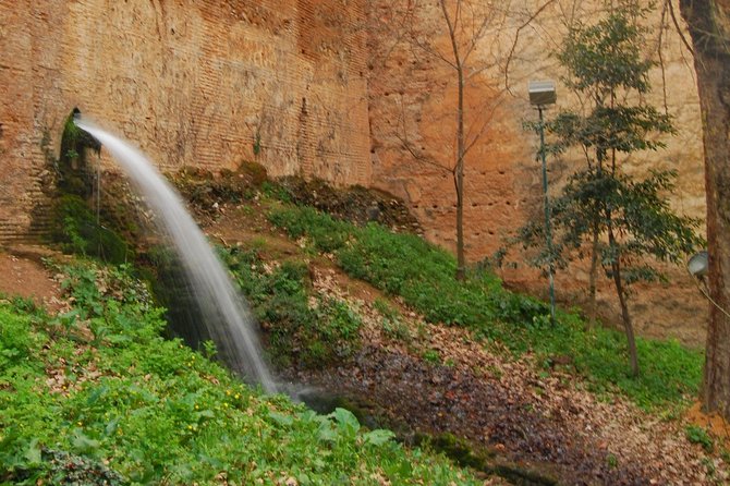 Water paths. Private adventure and history tour - Cerro del Sol: the forest network and ditch-labyrinth feeling